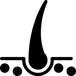 Capillary